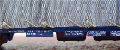 51850g
